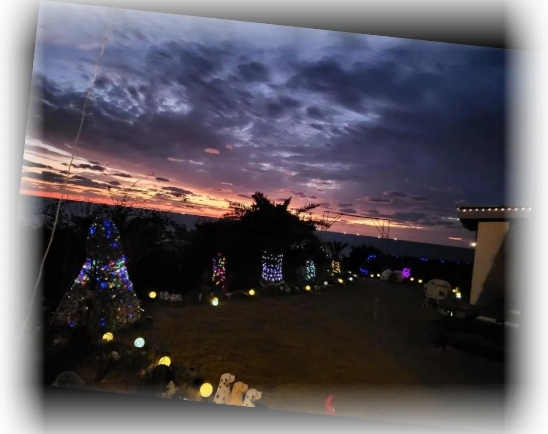 _____________image_6.webp