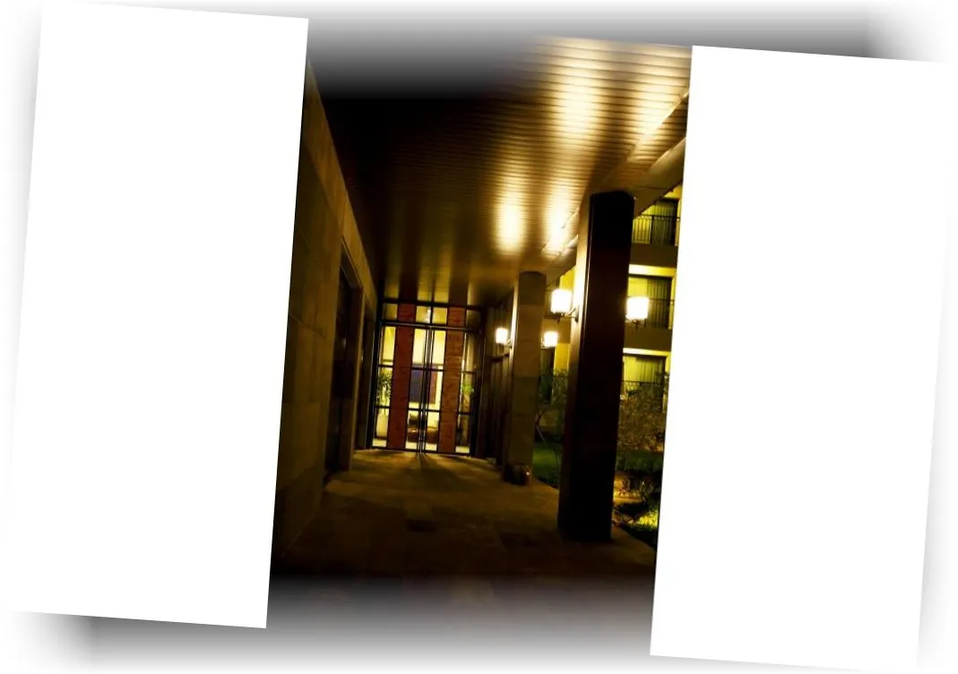 _______image_8.webp