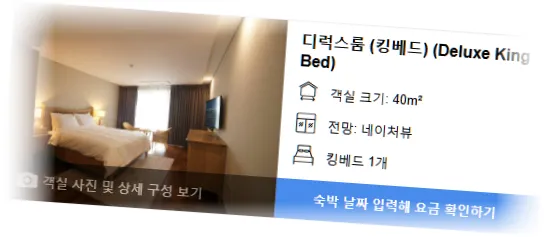 _______room_3.webp