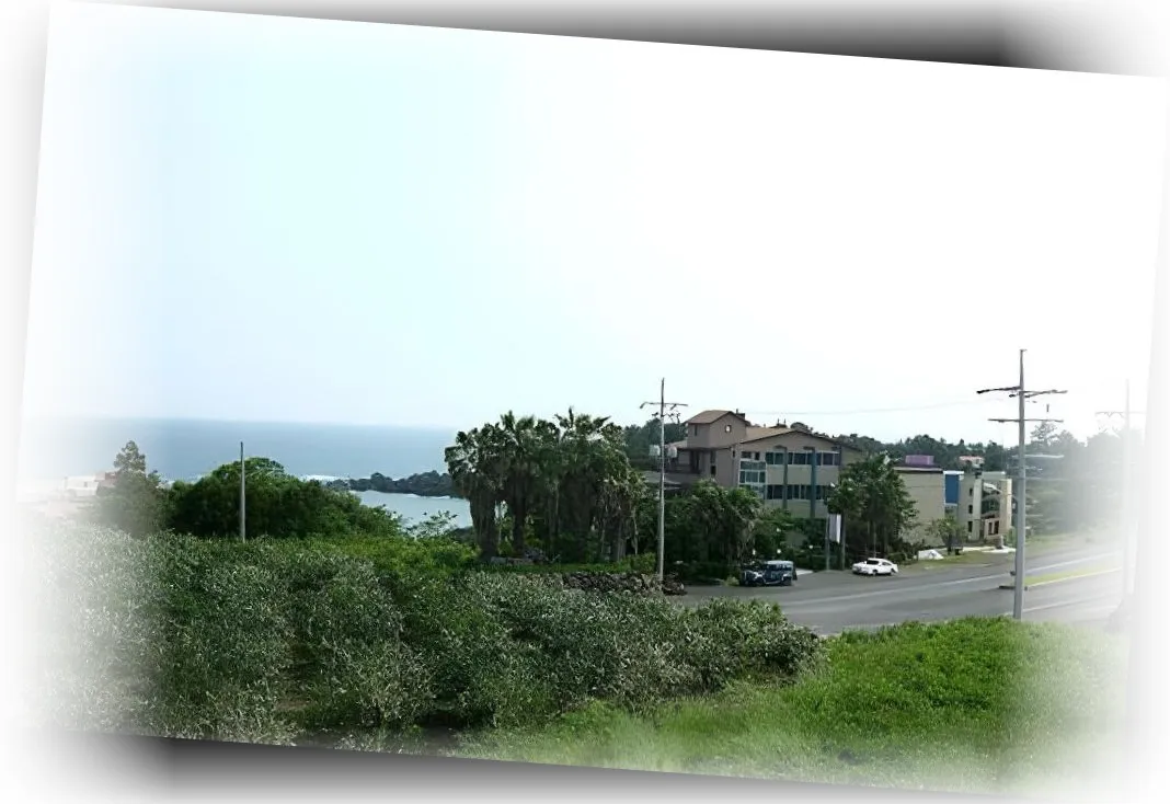 __________image_1.webp