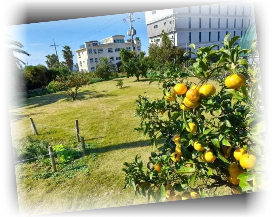 ___________image_10.webp